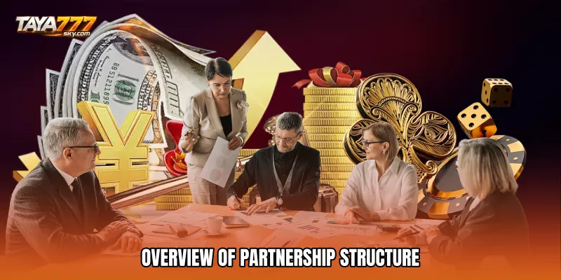 Overview of Partnership Structure