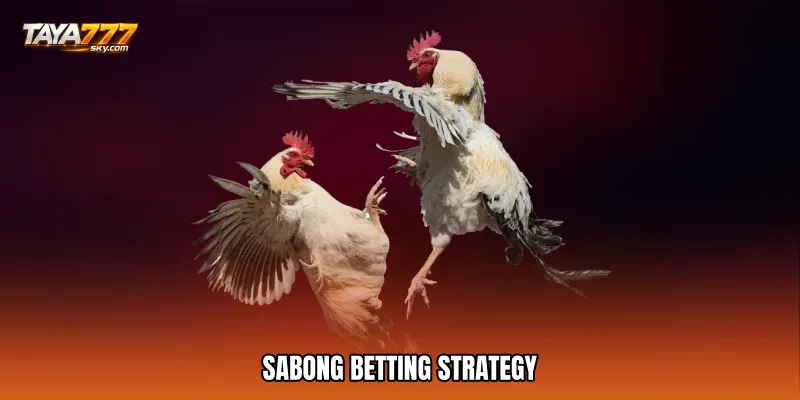Sabong betting strategy